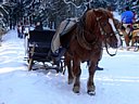 HARRACHOV - KRKONOŠE